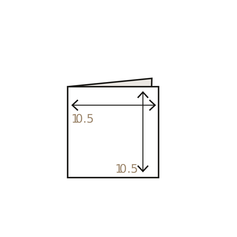 format_couv_10_5x10_5.svg