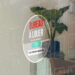 Vinyles transparents – Image 4