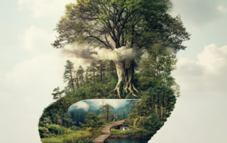 impression écologique